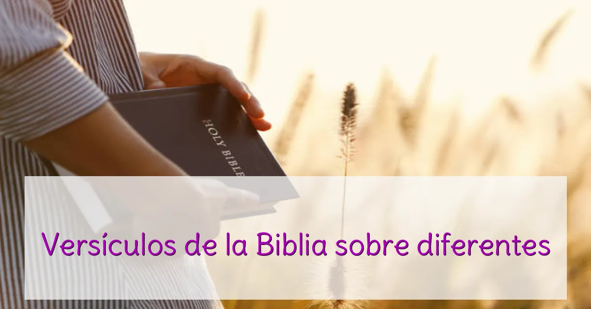 Versículos de la Biblia sobre diferentes