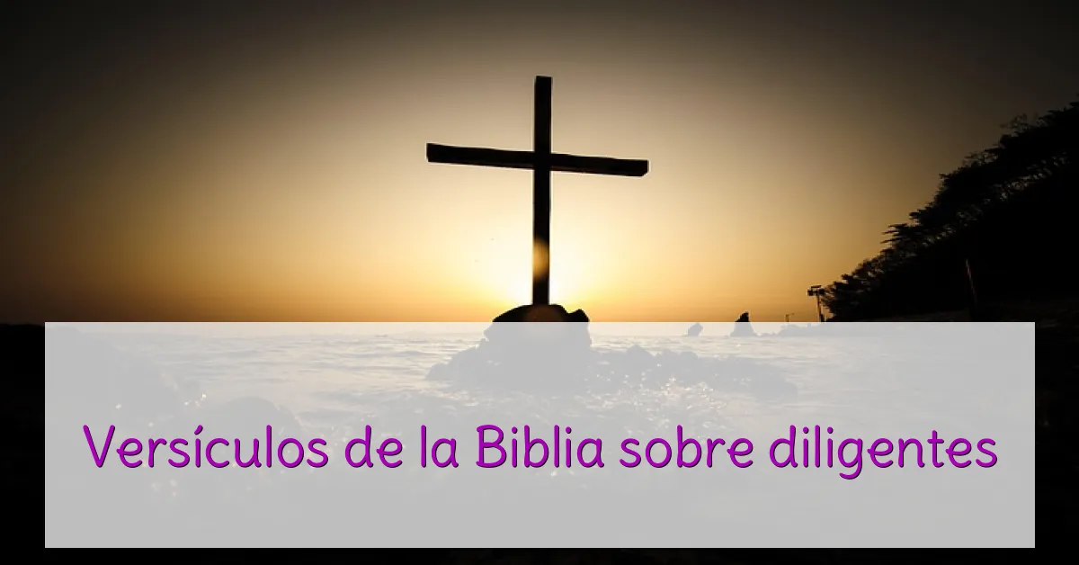 Versículos de la Biblia sobre diligentes