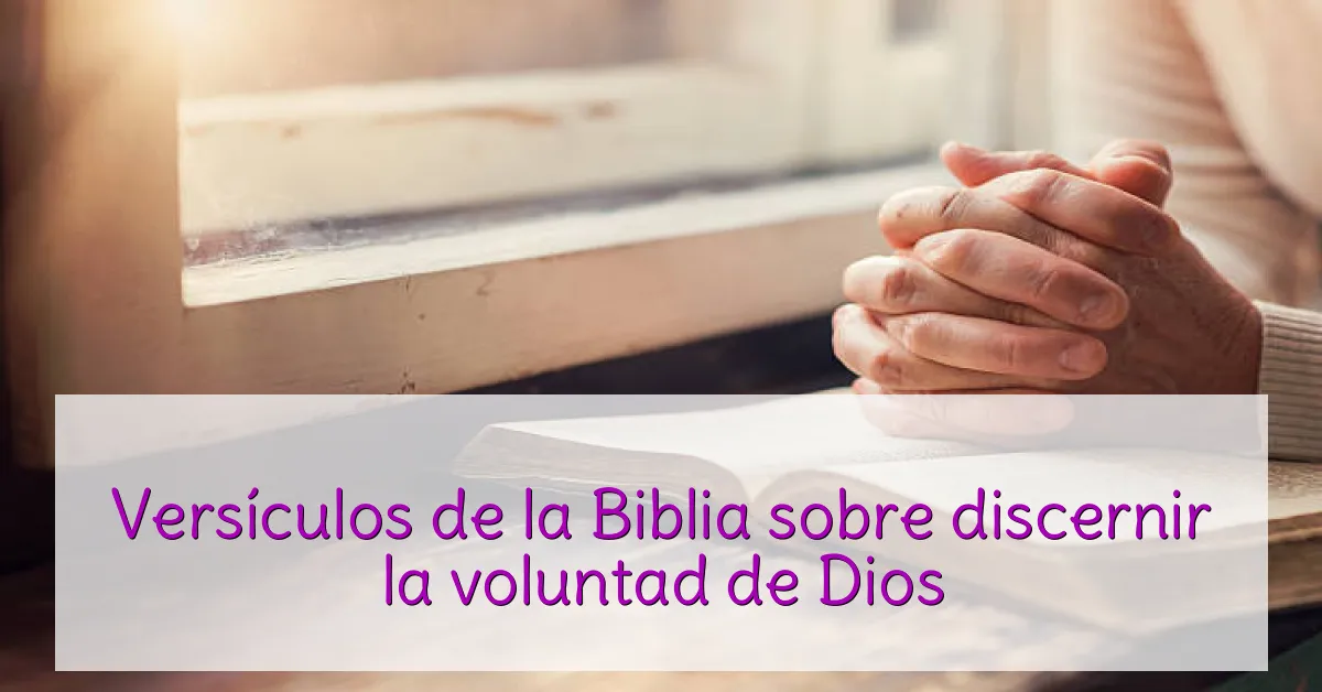 Versículos de la Biblia sobre discernir la voluntad de Dios