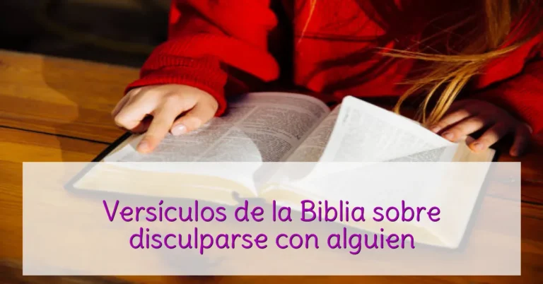 Versículos de la Biblia sobre disculparse con alguien