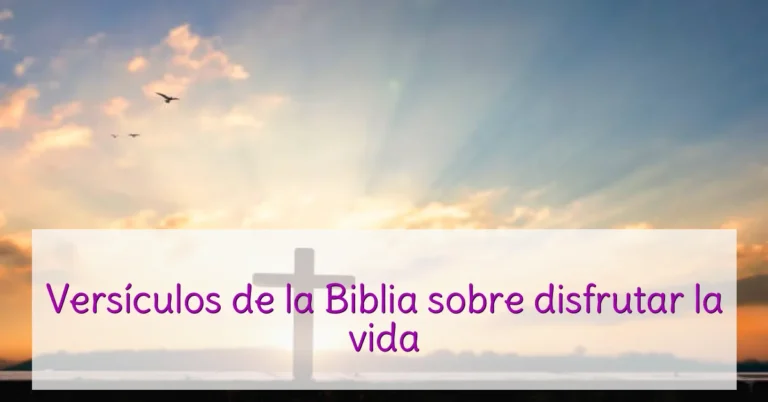Versículos de la Biblia sobre disfrutar la vida