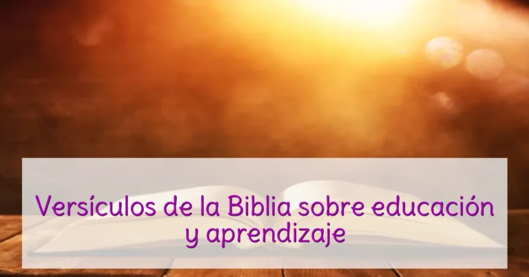Versículos de la Biblia sobre educación y aprendizaje