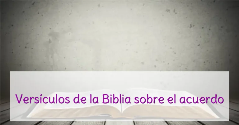 Versículos de la Biblia sobre el acuerdo