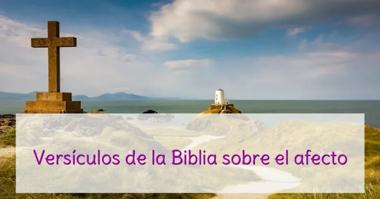 Versículos de la Biblia sobre el afecto