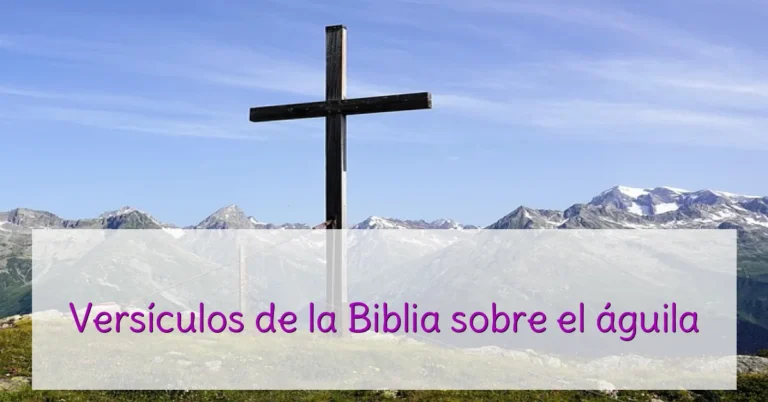 Versículos de la Biblia sobre el águila
