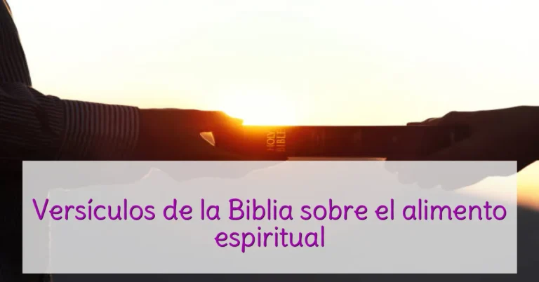 Versículos de la Biblia sobre el alimento espiritual