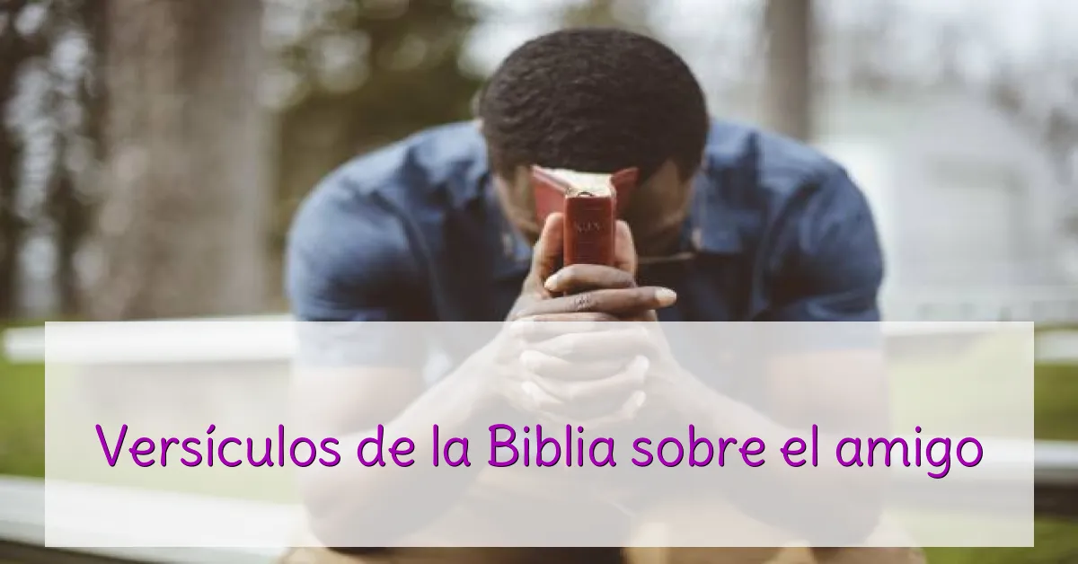 Versículos de la Biblia sobre el amigo