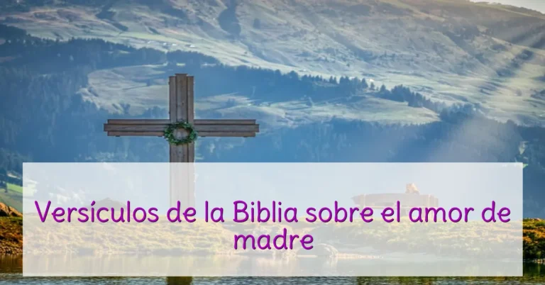 Versículos de la Biblia sobre el amor de madre