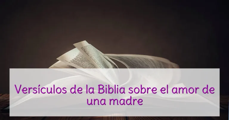 Versículos de la Biblia sobre el amor de una madre
