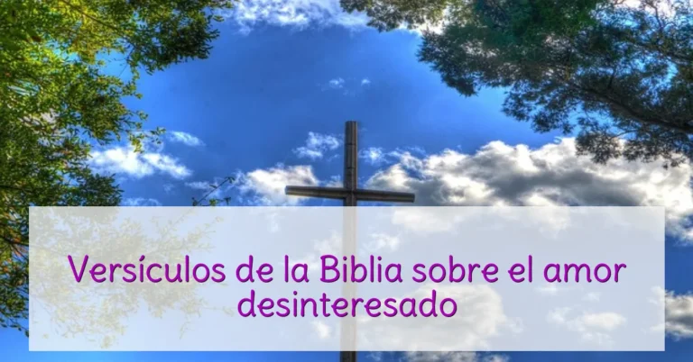 Versículos de la Biblia sobre el amor desinteresado