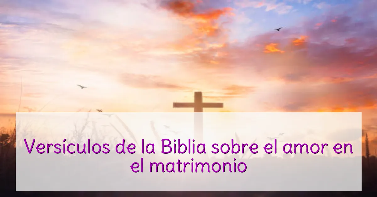 Versículos de la Biblia sobre el amor en el matrimonio