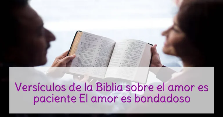 Versículos de la Biblia sobre el amor es paciente El amor es bondadoso