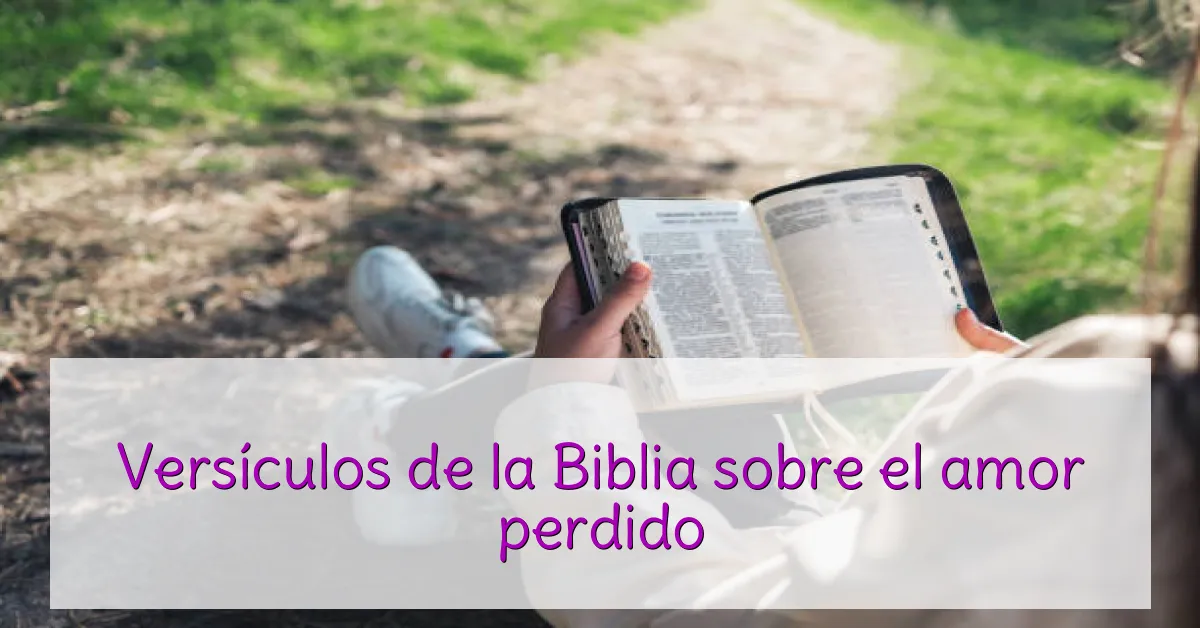 Versículos de la Biblia sobre el amor perdido