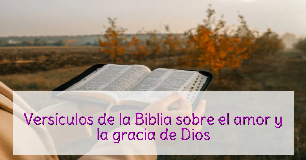 Versículos de la Biblia sobre el amor y la gracia de Dios