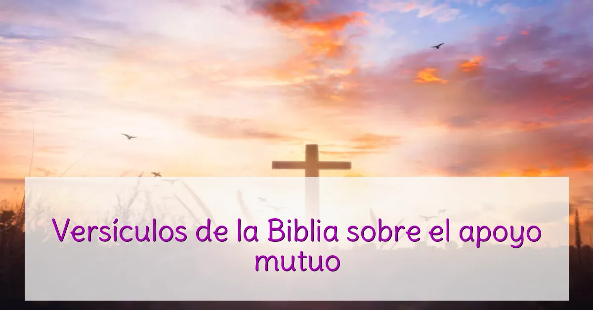 Versículos de la Biblia sobre el apoyo mutuo
