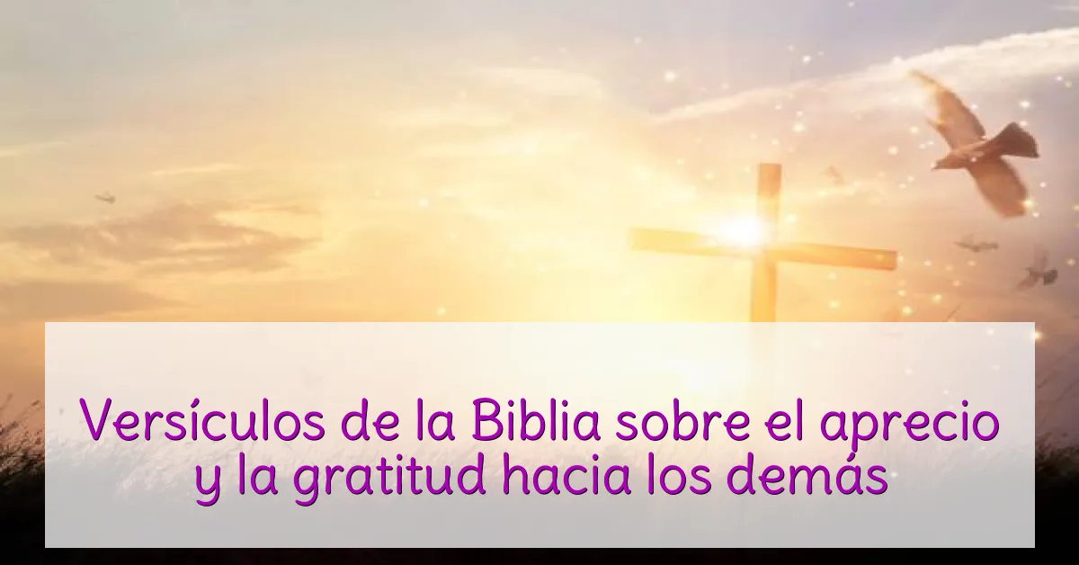 Versículos de la Biblia sobre el aprecio y la gratitud hacia los demás
