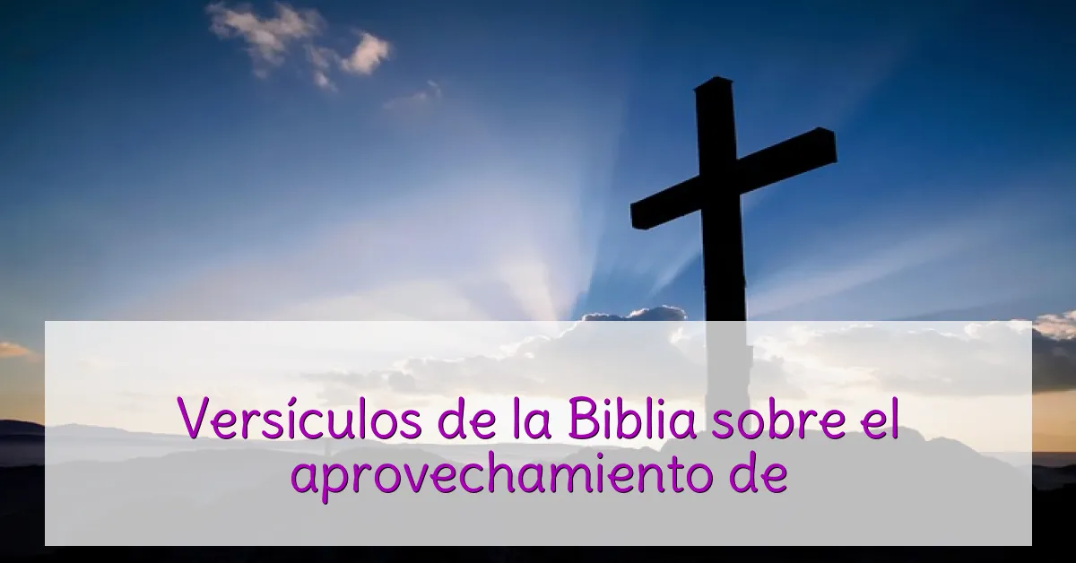 Versículos de la Biblia sobre el aprovechamiento de