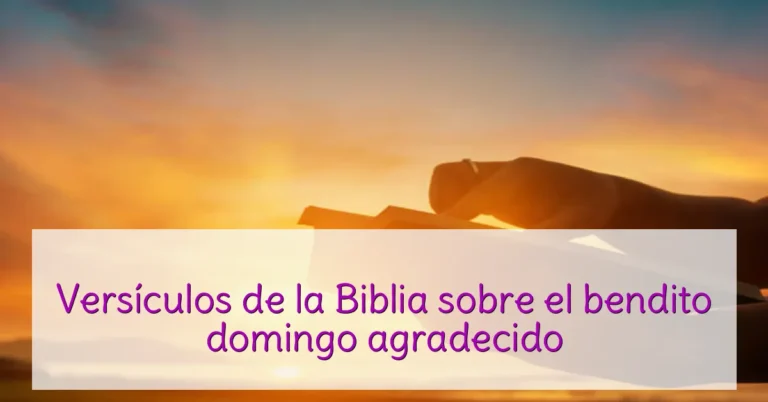 Versículos de la Biblia sobre el bendito domingo agradecido