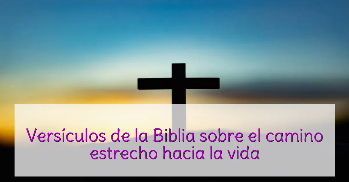 Versículos de la Biblia sobre el camino estrecho hacia la vida