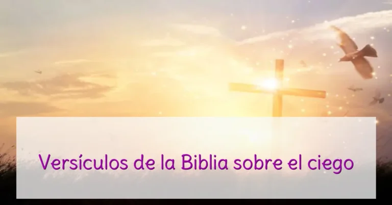Versículos de la Biblia sobre el ciego