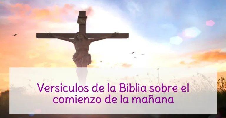 Versículos de la Biblia sobre el comienzo de la mañana