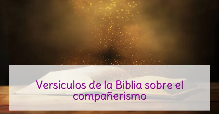 Versículos de la Biblia sobre el compañerismo