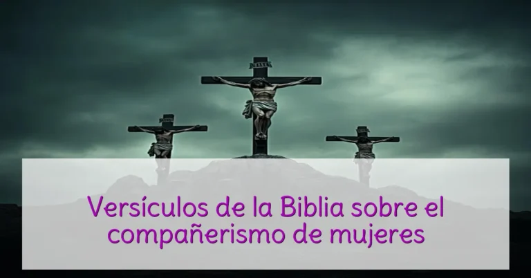 Versículos de la Biblia sobre el compañerismo de mujeres