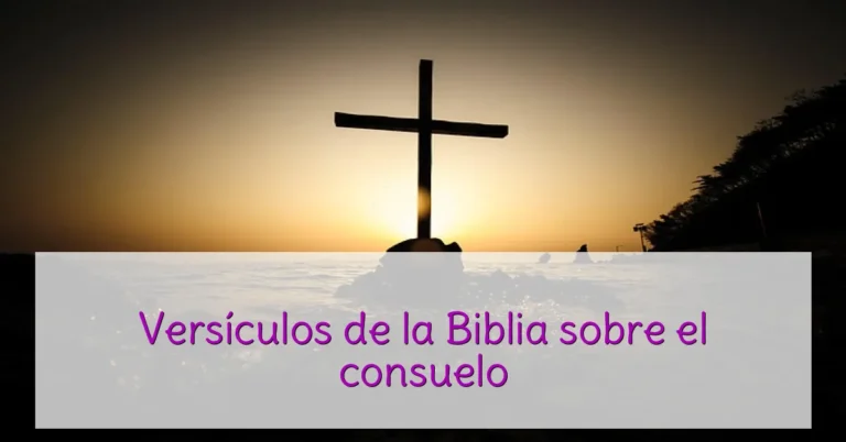 Versículos de la Biblia sobre el consuelo