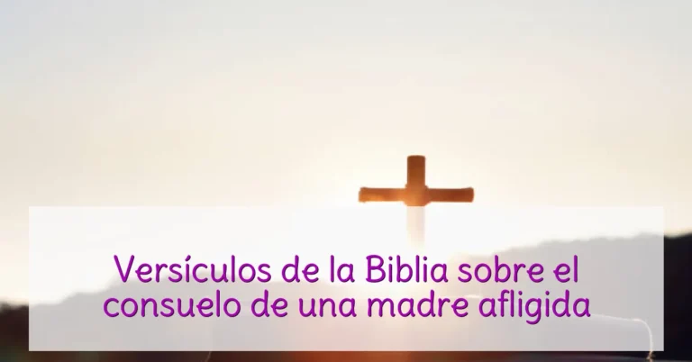 Versículos de la Biblia sobre el consuelo de una madre afligida
