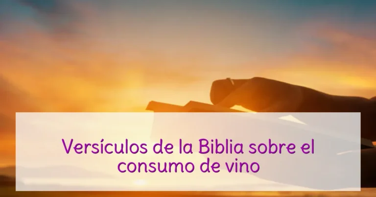 Versículos de la Biblia sobre el consumo de vino