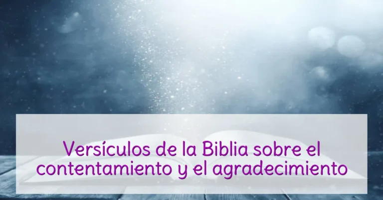 Versículos de la Biblia sobre el contentamiento y el agradecimiento