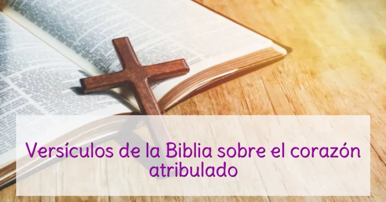 Versículos de la Biblia sobre el corazón atribulado