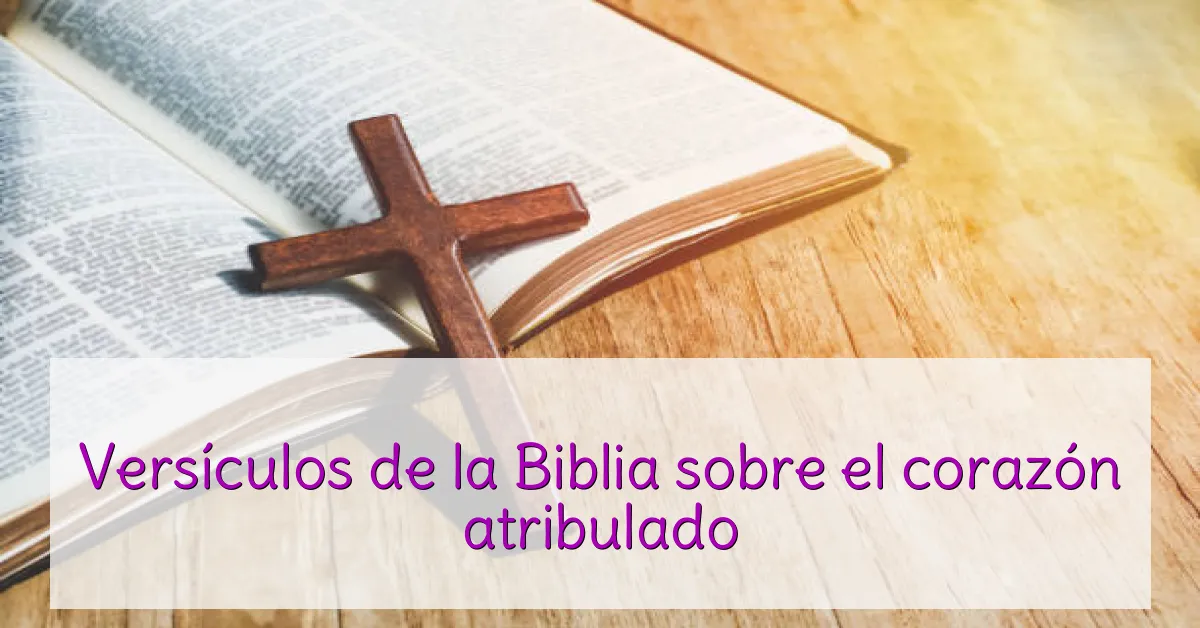 Versículos de la Biblia sobre el corazón atribulado