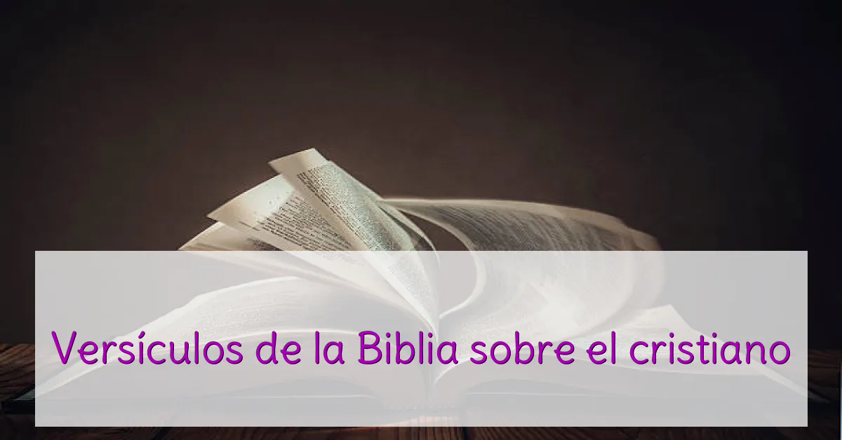 Versículos de la Biblia sobre el cristiano