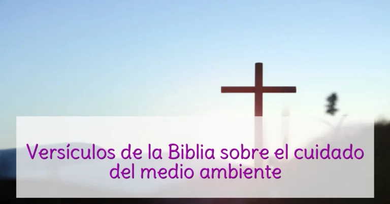 Versículos de la Biblia sobre el cuidado del medio ambiente