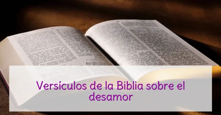 Versículos de la Biblia sobre el desamor