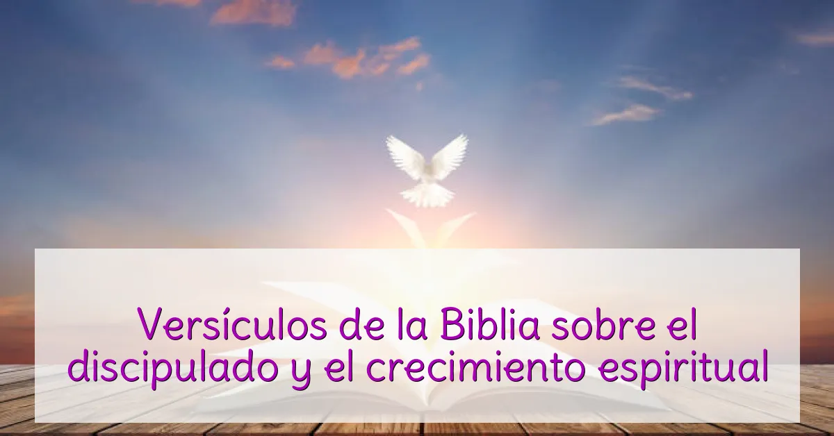 Versículos de la Biblia sobre el discipulado y el crecimiento espiritual