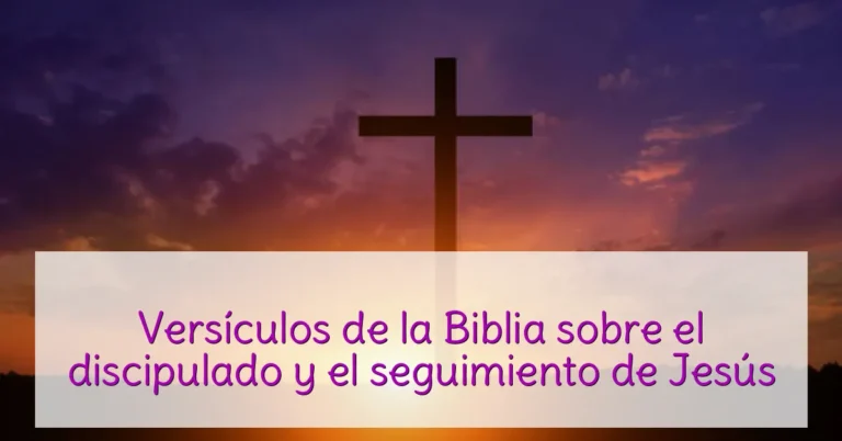Versículos de la Biblia sobre el discipulado y el seguimiento de Jesús