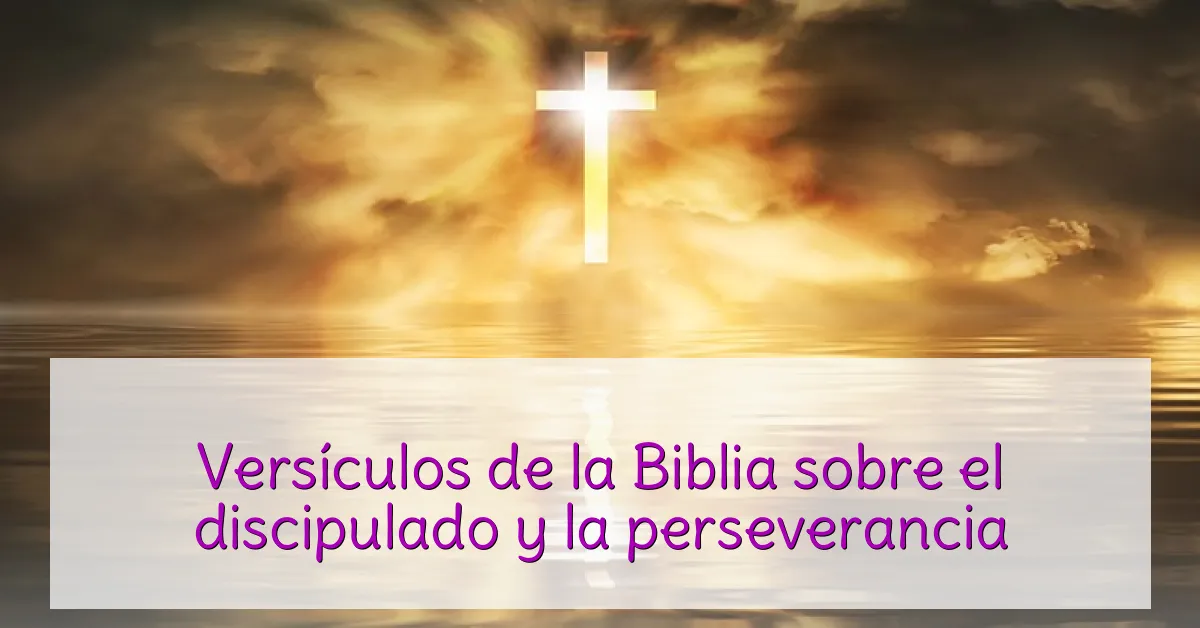Versículos de la Biblia sobre el discipulado y la perseverancia