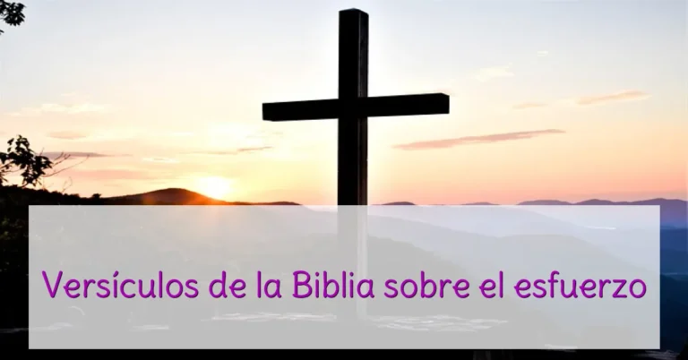 Versículos de la Biblia sobre el esfuerzo