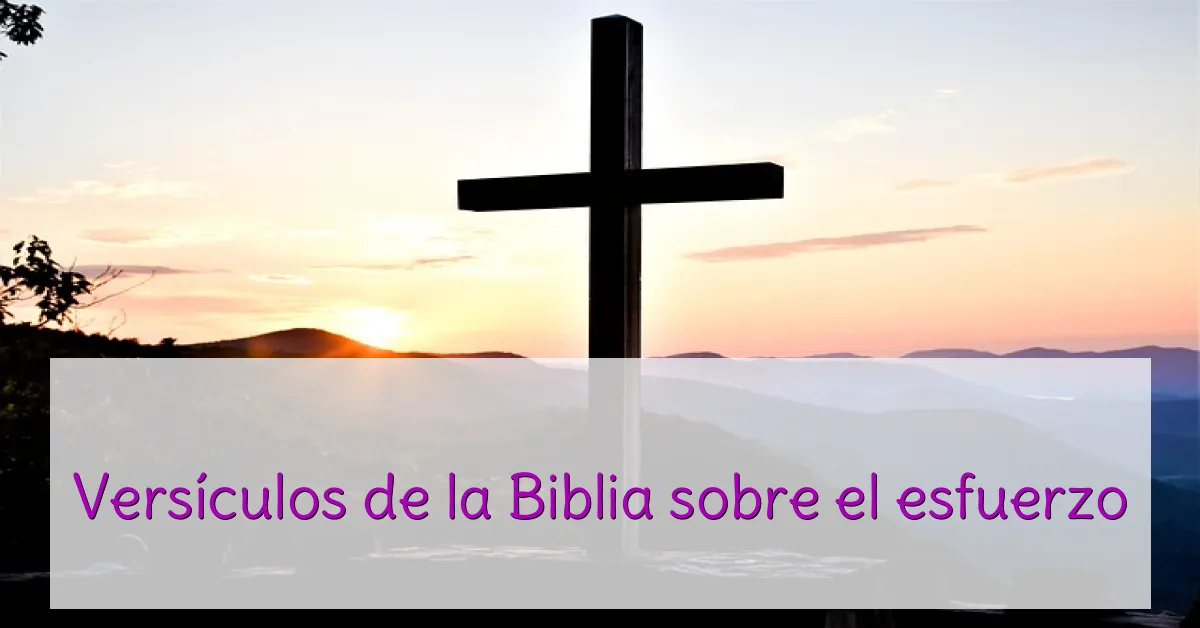 Versículos de la Biblia sobre el esfuerzo