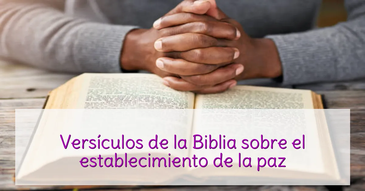 Versículos de la Biblia sobre el establecimiento de la paz
