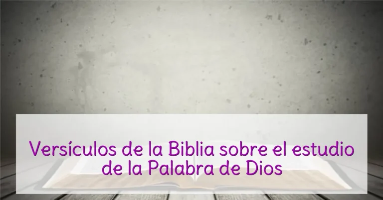 Versículos de la Biblia sobre el estudio de la Palabra de Dios