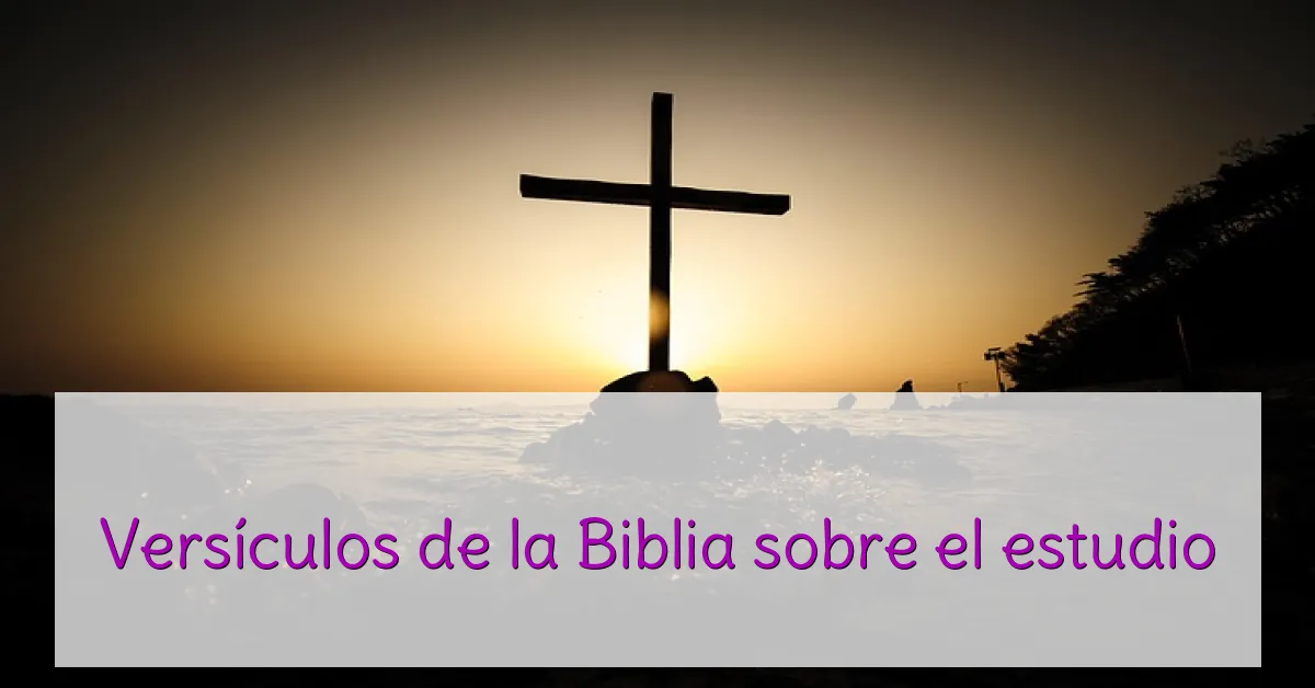 Versículos de la Biblia sobre el estudio