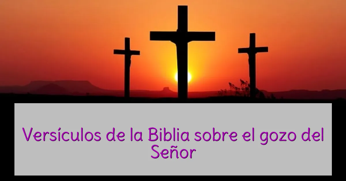 Versículos de la Biblia sobre el gozo del Señor
