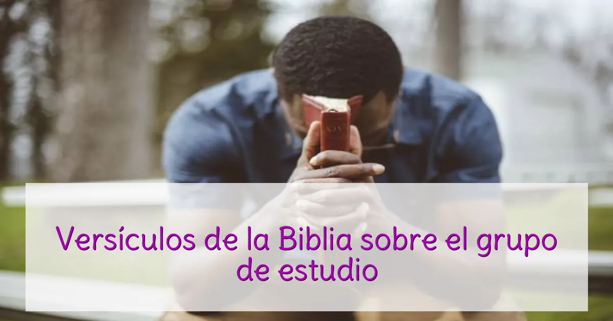 Versículos de la Biblia sobre el grupo de estudio