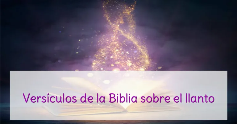 Versículos de la Biblia sobre el llanto