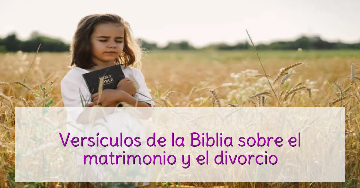Versículos de la Biblia sobre el matrimonio y el divorcio
