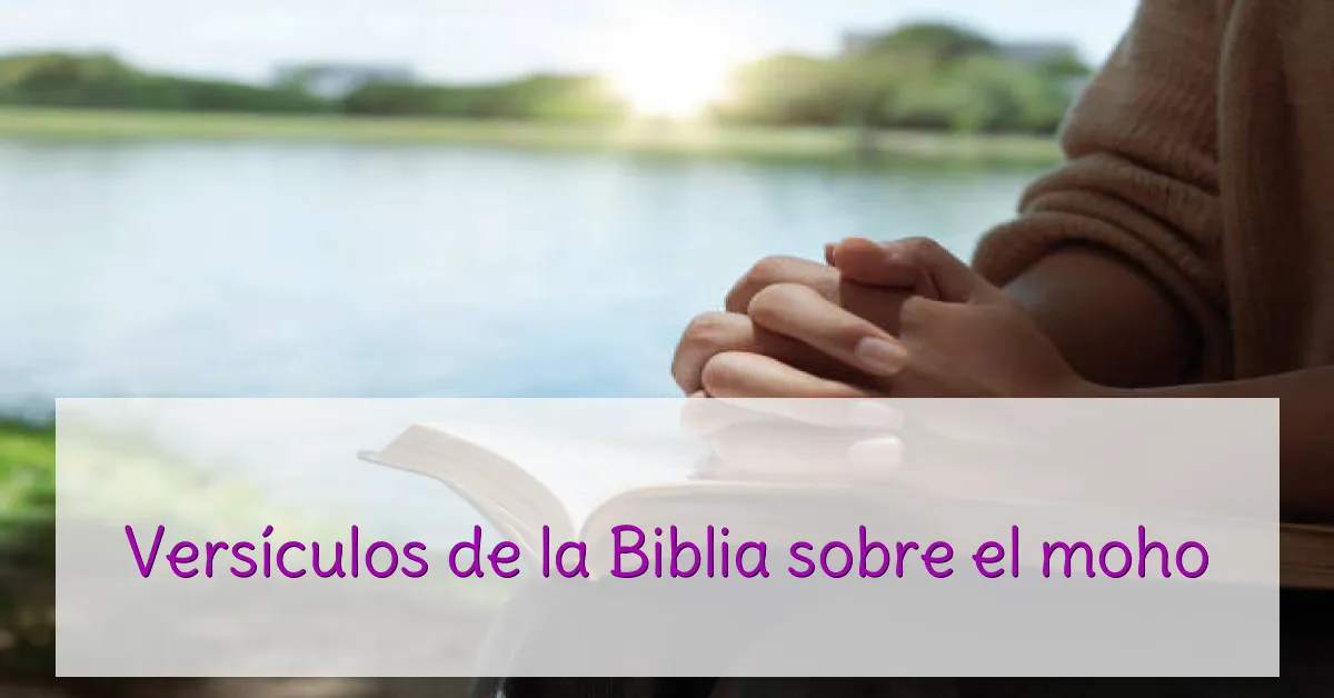 Versículos de la Biblia sobre el moho