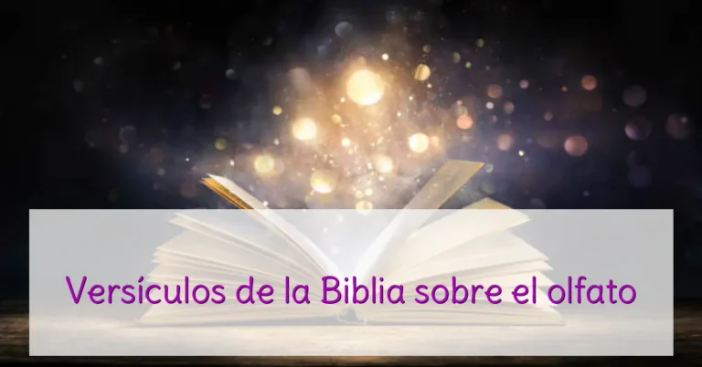 Versículos de la Biblia sobre el olfato